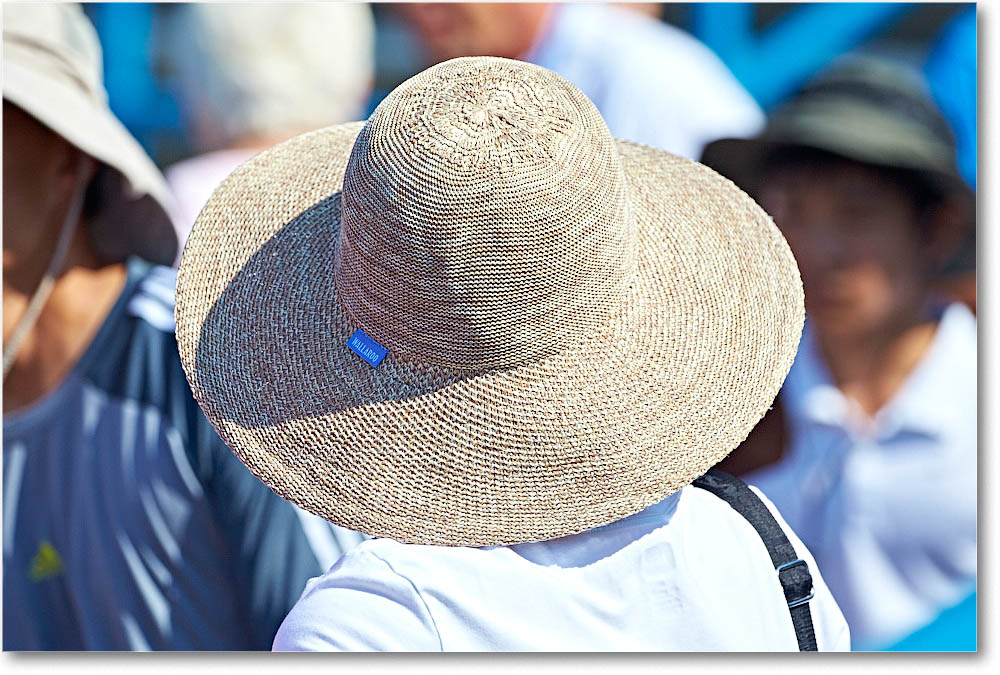 HatsInTheCrowd_Cincy2015_2DXB1572 copy