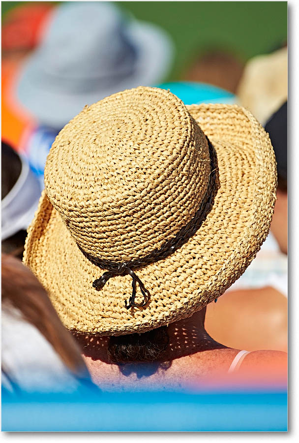 HatsInTheCrowd_Cincy2015_2DXB1582 copy
