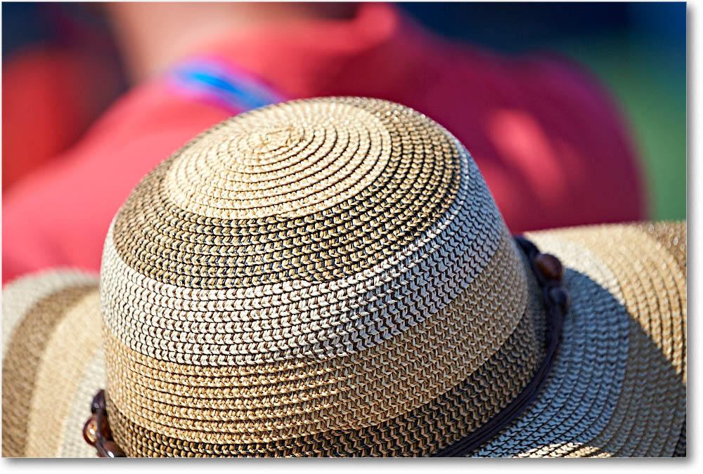 HatsInTheCrowd_Cincy2015_2DXB1600 copy