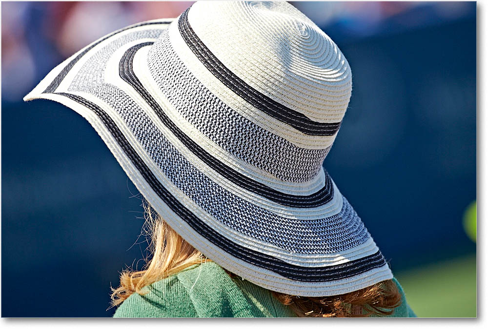HatsInTheCrowd_Cincy2015_2DXB1609 copy