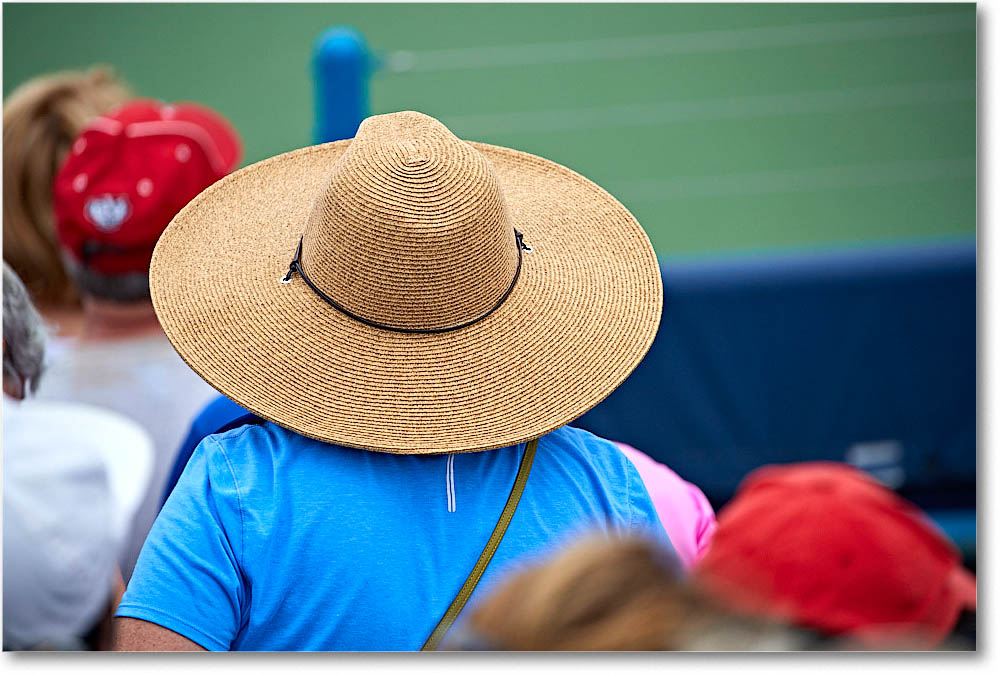 HatsInTheCrowd_Cincy2016_4DXA2074 copy