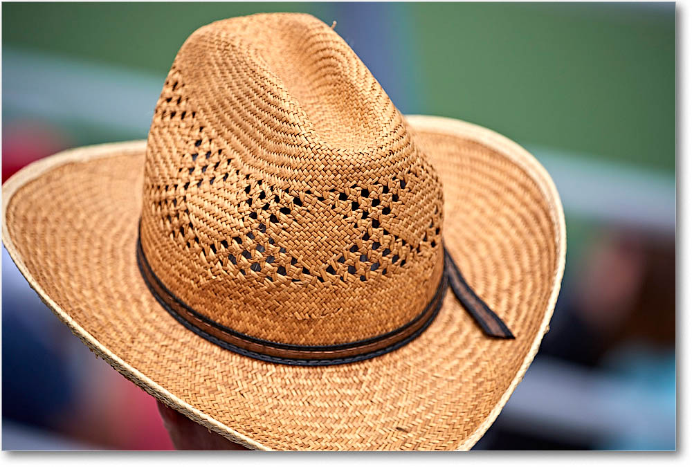 HatsInTheCrowd_Cincy2016_4DXA6001 copy