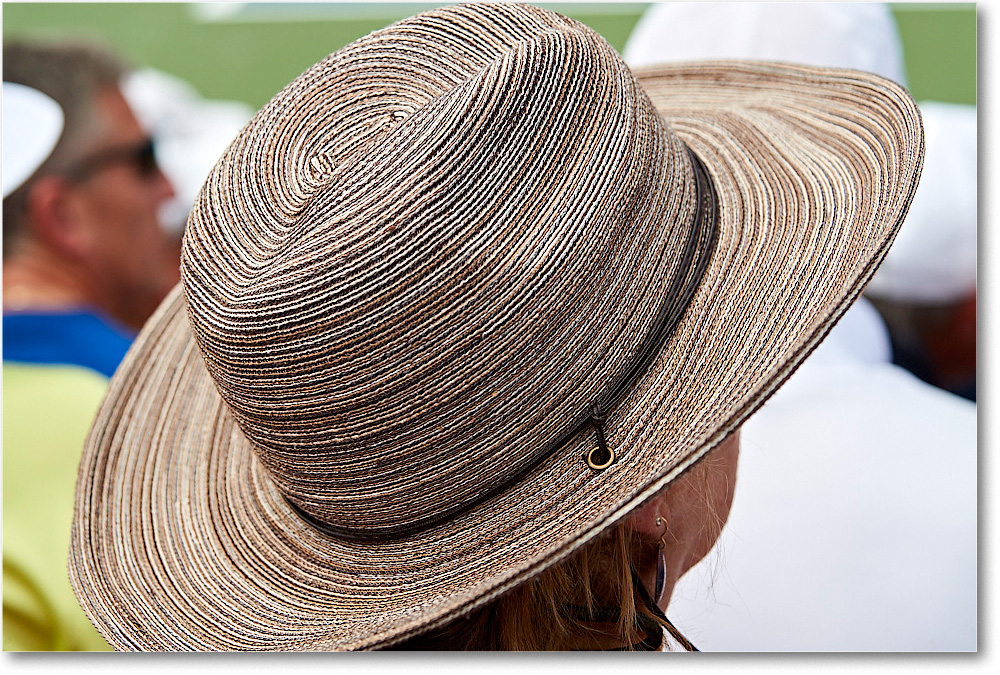 HatsInTheCrowd_Cincy2017_4DXA9091 copy