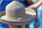 HatsInTheCrowd_Cincy2015_2DXB1575 copy