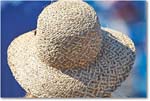 HatsInTheCrowd_Cincy2015_2DXB1588 copy