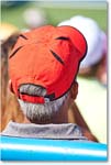 HatsInTheCrowd_Cincy2015_2DXB1610 copy