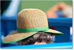HatsInTheCrowd_Cincy2017_4DXB3784 copy