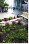 FlowerDisplay_Cincy2006_Y2F8851 copy