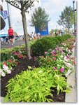 FlowerDisplay_Cincy2012_IMG_1889 copy