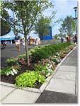 FlowerDisplay_Cincy2012_IMG_1890 copy