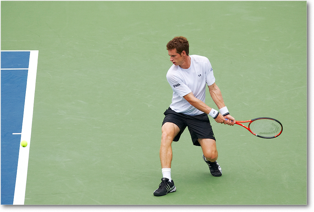 Murray (d Stepanek R16) Cincy091D3A2969 copy