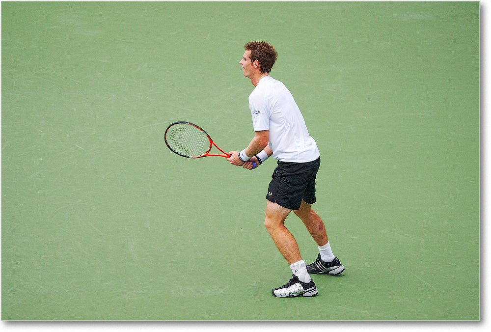 Murray (d Stepanek R16) Cincy091D3A2979 copy