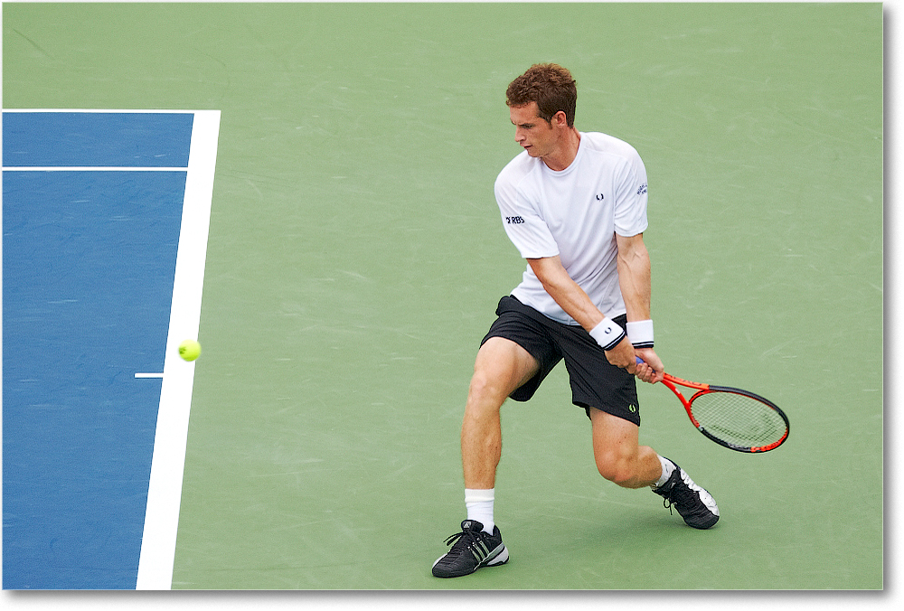 Murray (d Stepanek R16) Cincy091D3A2996 copy