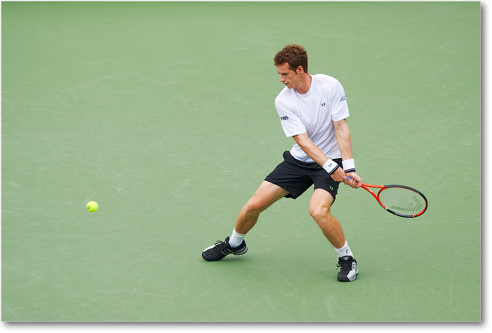 Murray (d Stepanek R16) Cincy091D3A2999 copy