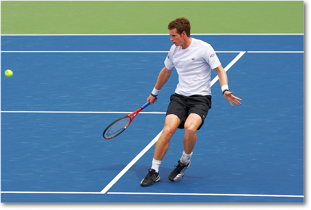 Murray (d Stepanek R16) Cincy091D3A3018 copy