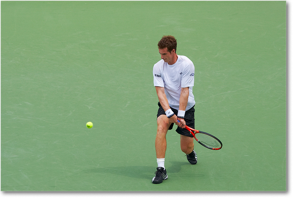 Murray (d Stepanek R16) Cincy091D3A3028 copy
