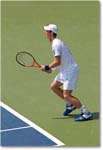 Murray (d Nalbandian R32) Cincy2011_D4A7355 copy