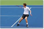Murray (d Stepanek R16) Cincy091D3A3019 copy