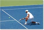 Paes-Stepanek (d Janowicz-Kubot R16) Cincy2013_D4C6377 copy