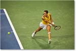 Petkovic_(l_Halep_R16)_Cincy2015_2DXB0882 copy