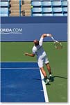  PeyaSoares_(l_PospisilSock_QF)_Cincy2014_2DXA5037 copy