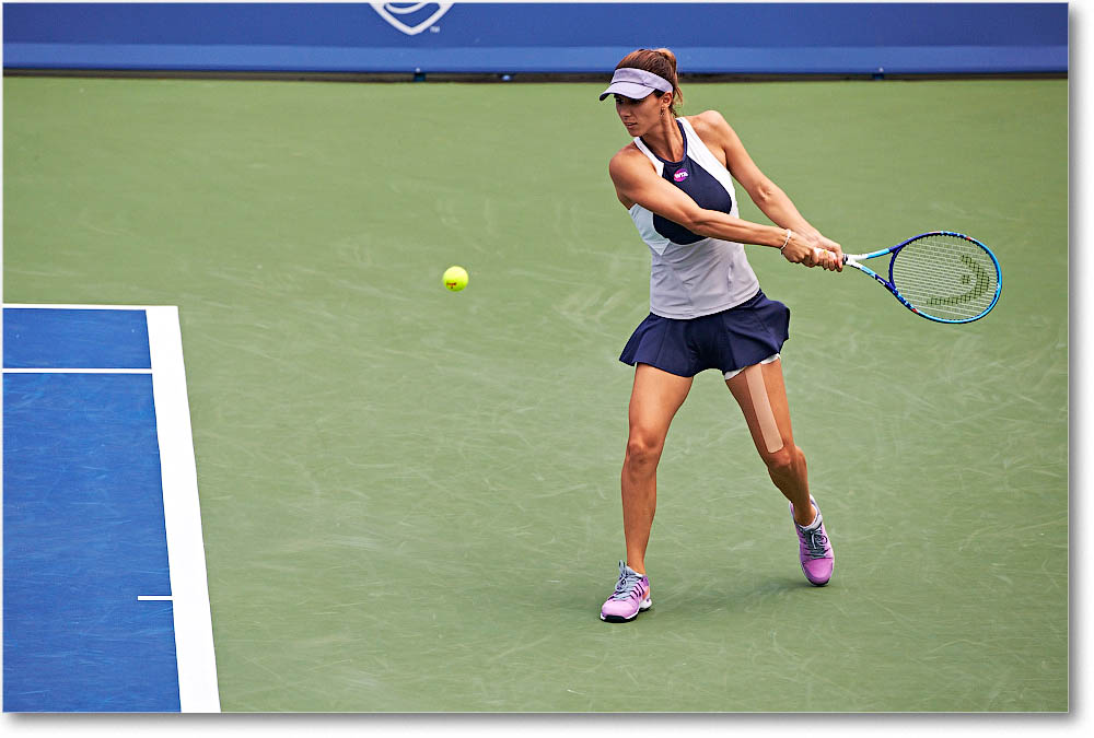 Pironkova_(l_SWilliams_R32)_Cincy2015_2DXA9846 copy