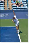 PospisilSock_(d_PeyaSoares_QF)_Cincy2014_2DXA5104 copy