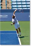PospisilSock_(d_PeyaSoares_QF)_Cincy2014_2DXA5266 copy