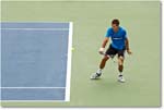 Robredo (d Fish R64) Cincy08_1D3A2334 copy