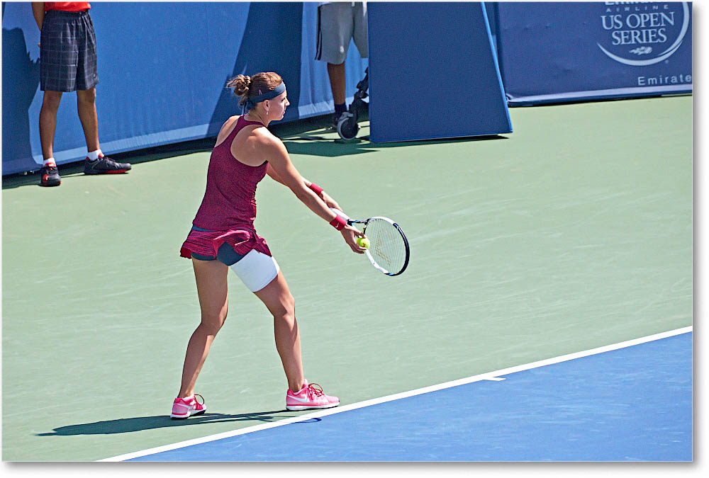 Safarova_(d_WilliamsV_R64)_Cincy2014_2DXA1539 copy