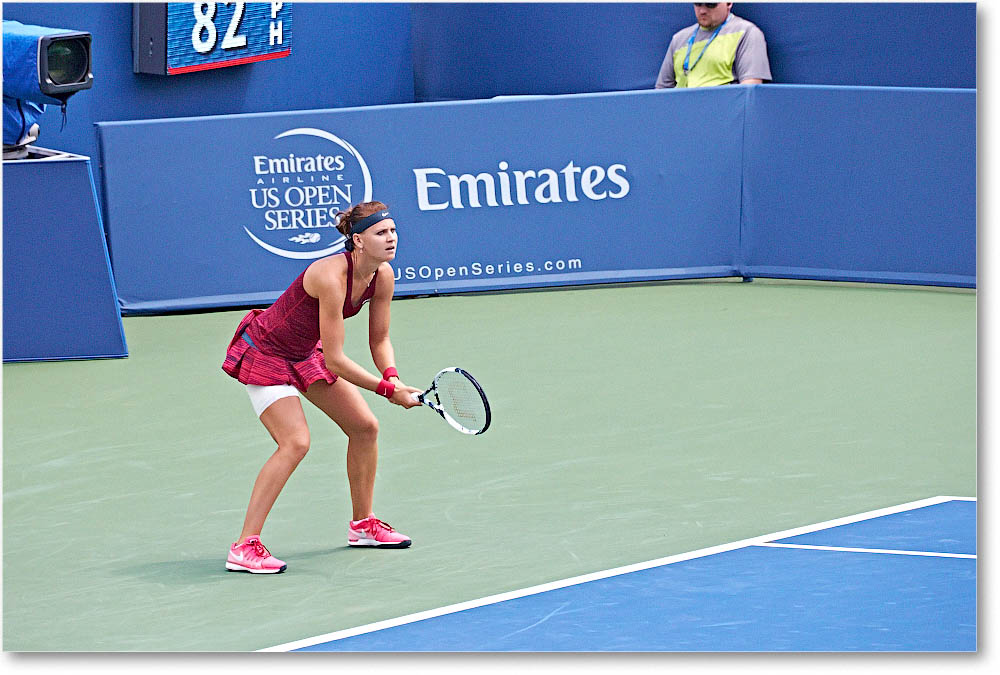 Safarova_(d_WilliamsV_R64)_Cincy2014_2DXA1580 copy