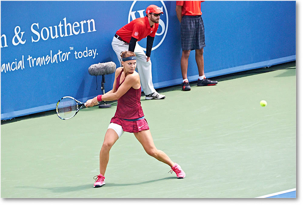 Safarova_(d_WilliamsV_R64)_Cincy2014_2DXA1597 copy