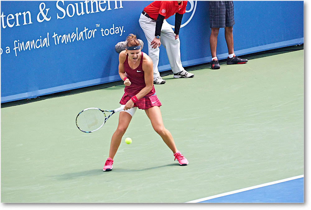Safarova_(d_WilliamsV_R64)_Cincy2014_2DXA1606 copy