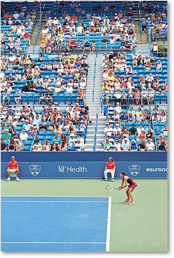 Safarova_(d_WilliamsV_R64)_Cincy2014_2DXA1685 copy