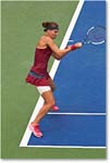 Safarova_(l_Halep_R16)_Cincy2014)_2DXA3975 copy