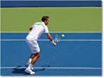 Stepanek (d Isner R64) Cincy11_D4A5991 copy