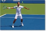 Stepanek (d Isner R64) Cincy11_D4A6012 copy