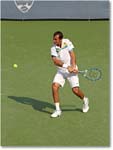 Stepanek (l Djokovic R16) Cincy11_D4A8531 copy