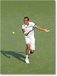 Stepanek (l Djokovic R16) Cincy11_D4A8533 copy