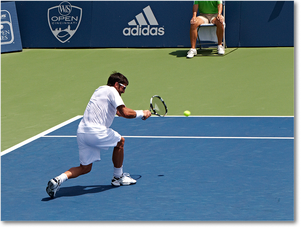 Tipsarevic (d Roger-Vasselin R64) Cincy11_D4A5921 copy