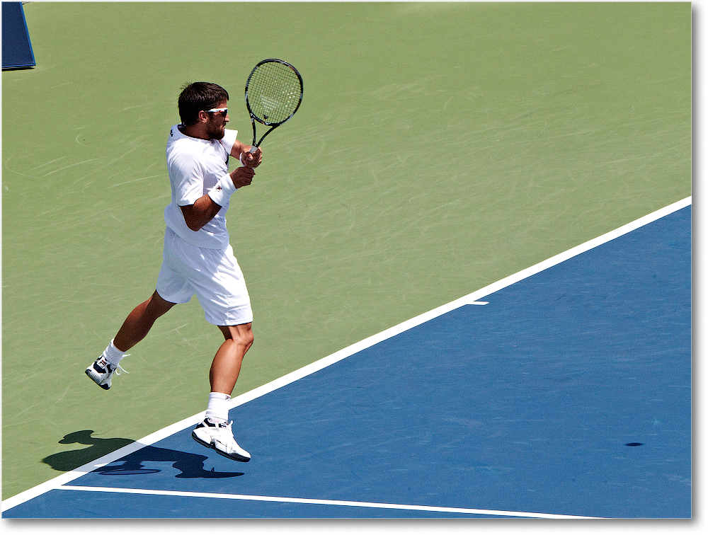 Tipsarevic (d Roger-Vasselin R64) Cincy11_D4A5923 copy