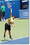 Tipsarevic (l Moya R64) Cincy08_1D3A2921 copy