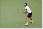 Tomic (l Federer R16) Cincy2012_D4B7740 copy