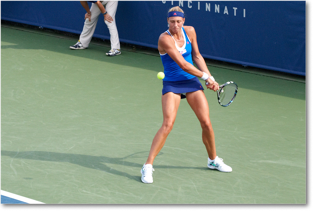 Wickmayer (l Niculescu R64) Cincy2013_D4C3369 copy