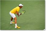 MZverev_(d_Verdasco_R64)_Cincy2015_4DXA9588 copy